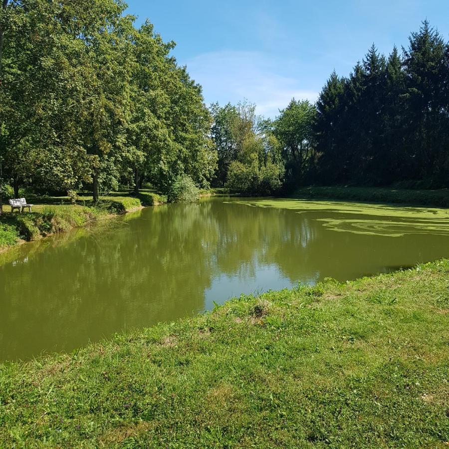 Вилла Sur La Route De Champ Colin Saint-Denis-les-Rebais Экстерьер фото
