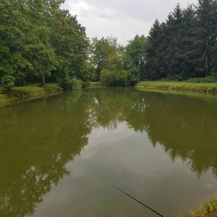 Вилла Sur La Route De Champ Colin Saint-Denis-les-Rebais Экстерьер фото